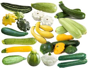 this is a mix!!! 50+ zucchini and squash mix seeds 12 varieties non-gmo delicious grown in usa. rare super profilic