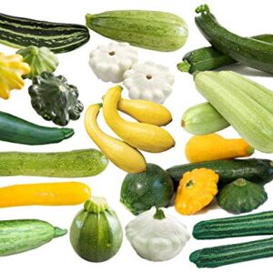 This is a Mix!!! 50+ Zucchini and Squash Mix Seeds 12 Varieties Non-GMO Delicious Grown in USA. Rare Super Profilic