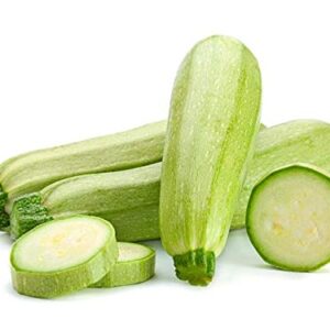 This is a Mix!!! 50+ Zucchini and Squash Mix Seeds 12 Varieties Non-GMO Delicious Grown in USA. Rare Super Profilic