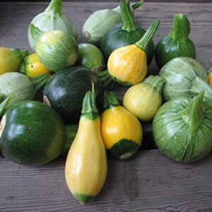 This is a Mix!!! 50+ Zucchini and Squash Mix Seeds 12 Varieties Non-GMO Delicious Grown in USA. Rare Super Profilic