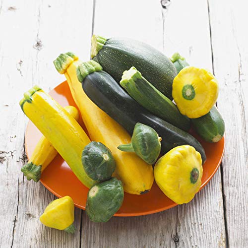 This is a Mix!!! 50+ Zucchini and Squash Mix Seeds 12 Varieties Non-GMO Delicious Grown in USA. Rare Super Profilic