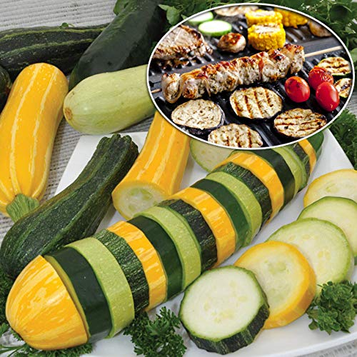 This is a Mix!!! 50+ Zucchini and Squash Mix Seeds 12 Varieties Non-GMO Delicious Grown in USA. Rare Super Profilic