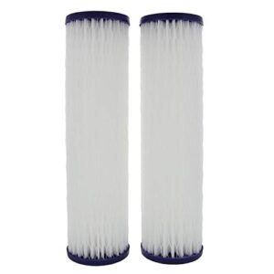 ao smith wh-pre-rp2 sediment and particulate whole house replacement filter 2-pack