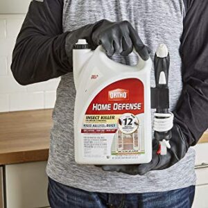 Ortho 0221710 Home Defense Insect Killer for Indoor & Perimeter2 Pull 'n Spray, 1.33 gal