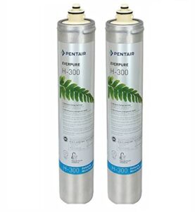 everpure h-300 water filter replacement cartridge (ev9270-72 or ev9270-71) (pack of 2)