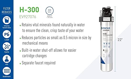 Everpure H-300 Water Filter Replacement Cartridge (EV9270-72 or EV9270-71) (Pack of 2)