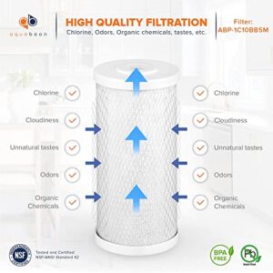 Aquaboon Universal Whole House 5 Micron 10 x 4.5 inch Cartridge | Premium Coconut Shell Replacement Water Filter Cartridge | Activated Carbon Block CTO | Compatible with Pentek EP-BB 1-Pack