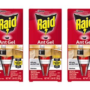 Raid Ant Gel Precision Bait,1.06 Ounce (Pack of 3)