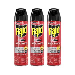 raid ant & roach killer outdoor fresh, 17.5 oz (pack - 3)