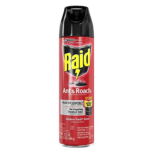 Raid Ant & Roach Killer Outdoor Fresh, 17.5 OZ (Pack - 3)