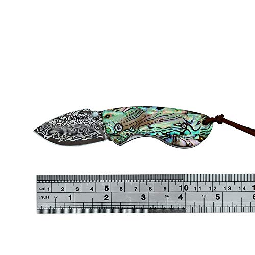 ALBATROSS Mini Pocket Knife Abalone Seashells 4.75'' Modern Damascus Steel Knife Liner Lock Folding Knife Gift Box - HGDK013B