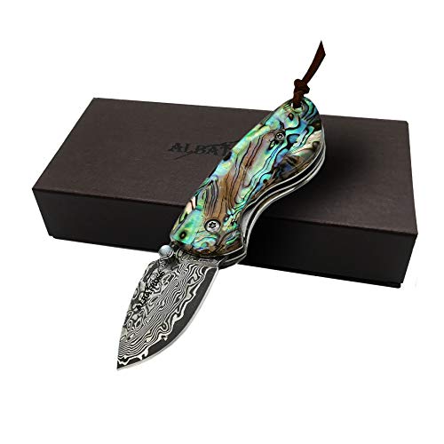 ALBATROSS Mini Pocket Knife Abalone Seashells 4.75'' Modern Damascus Steel Knife Liner Lock Folding Knife Gift Box - HGDK013B