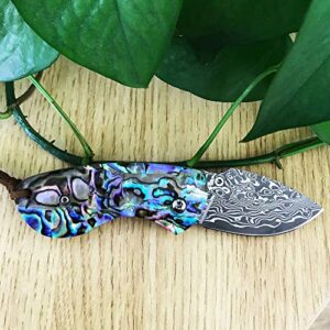 ALBATROSS Mini Pocket Knife Abalone Seashells 4.75'' Modern Damascus Steel Knife Liner Lock Folding Knife Gift Box - HGDK013B