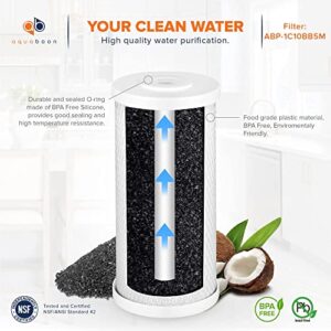 Aquaboon Universal Whole House 5 Micron 10 x 4.5 inch Cartridge | Premium Coconut Shell Replacement Water Filter Cartridge | Activated Carbon Block CTO | Compatible with Pentek EP-BB 4-Pack