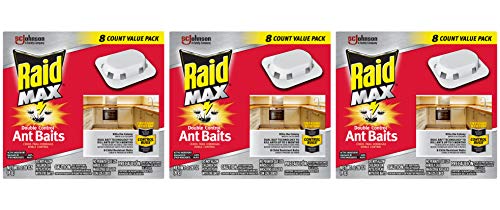 Raid Max Double Control Ant Baits, Household Use Defense System to Control Bugs, Dual Bait Technology, 8 CT (Pack of 3)