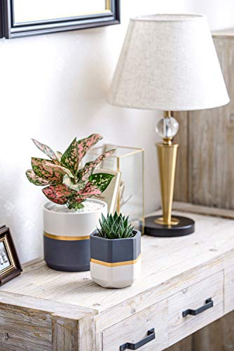 Mkono Ceramic Flower Pots for Indoor Plants 6 Inch and 4.8 Inch Modern Decorative Planters, Set of 2 Geometric Gardening Pots with Drainage for All House Plants (Plants NOT Included)