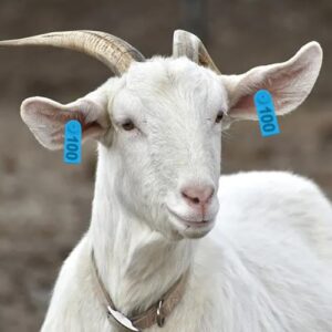 Sheep Ear Tags Marker Applicator 001-100 Ear Tags for Goat Punch Tools(Blue)