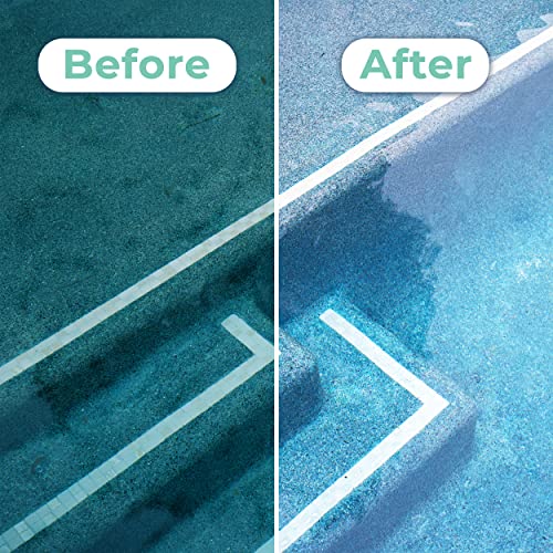 Greenco Pool Brush Head Heavy Duty Aluminum Extra Wide 20" Pool Floor & Wall Cleaning Brush w/Curved Ends for Better Corner Cleaning & Protects Accidental Tears in Pool Liner, EZ Clip Pole Attachment