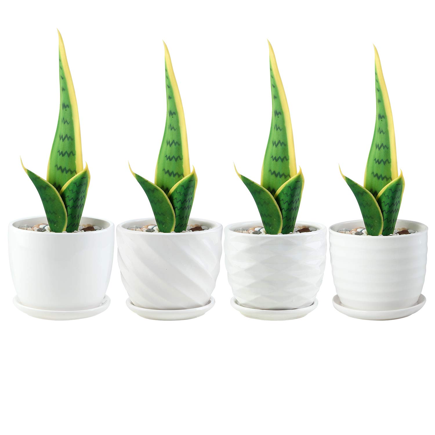 sietpoek Plant Pots - 4.7 Inch Cylinder Ceramic Planters with Connected Saucer, Pots for Succuelnt and Little Snake Plants, Set of 4, White