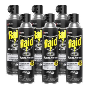 raid wasp and hornet killer, 17.5-ounce (pack - 6)