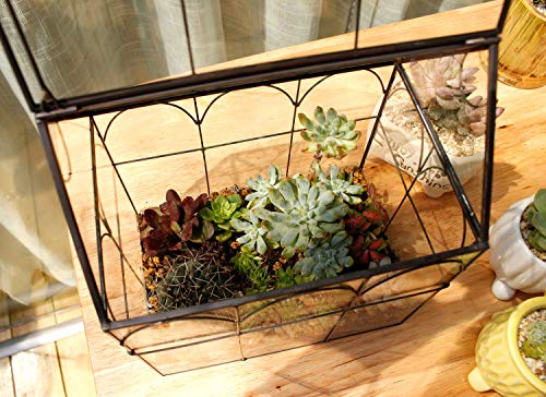 ELEGANTLIFE Glass Geometric Plant Terrarium,Succulent & Air Planter for Home Garden Office Decoration (Black House)