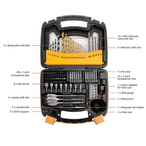 Amazon Basics Drill & Driver Multi-Bit 100 Piece Set