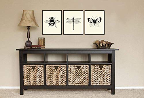 Bee Dragonfly Butterfly Wall Art Prints set of 3 Prints 8x10 - Unframed - Beautiful Black and White Illustration Ivory Natural Background Home Room Decor