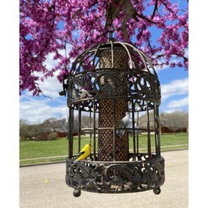 Westcharm 13 in. Caged Squirrel Proof Bird Feeder for Small Songbirds, Tall Rustic Metal Hanging Bird Feeder for Garden, Mesh Peanut Bird Feeder for Patio Yard - Verdigris 3.5 Cups Seed Capacity