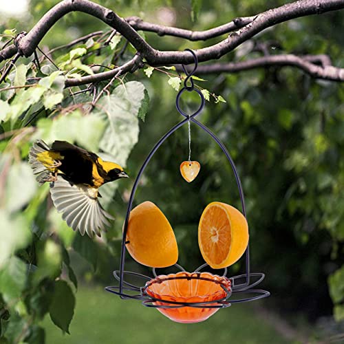 FORUP Oriole Bird Feeder, Orange Fruit Oriole Feeder