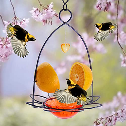 FORUP Oriole Bird Feeder, Orange Fruit Oriole Feeder