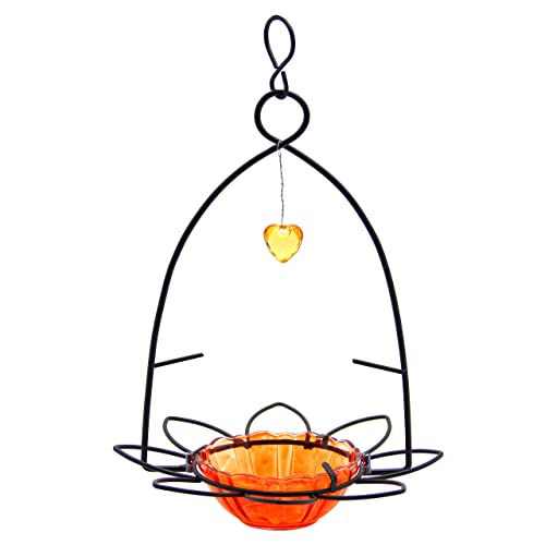 FORUP Oriole Bird Feeder, Orange Fruit Oriole Feeder