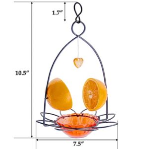 FORUP Oriole Bird Feeder, Orange Fruit Oriole Feeder