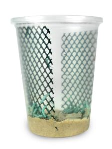 25-30 live hornworms with enough food to grow them to about 1-1/2 to 2" max. | ??limited edition