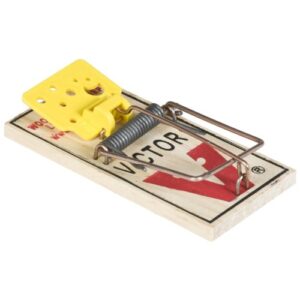 Victor Easy Set Mouse Trap 4 Pack M033 - Wooden Easy Set Mouse Trap - Prebaited, 16 Traps Total