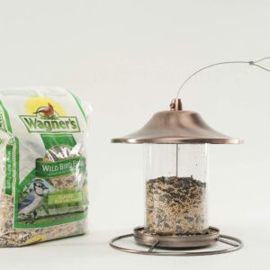 Wagner's 52003 Classic Blend Wild Bird Food, 6-Pound Bag