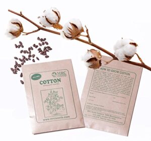 mrc brand cotton seeds non-gmo, untreated 20+ cotton seeds