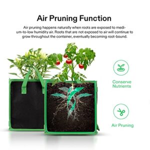 VIVOSUN 5 Pack 5 Gallon Square Grow Bags, Thick Nonwoven Cubic Fabric Pots with Handles for Indoor and Outdoor Gardening