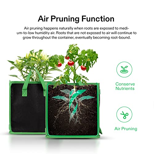 VIVOSUN 5 Pack 5 Gallon Square Grow Bags, Thick Nonwoven Cubic Fabric Pots with Handles for Indoor and Outdoor Gardening