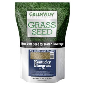 greenview fairway formula grass seed kentucky bluegrass blend - 3 lb. bag