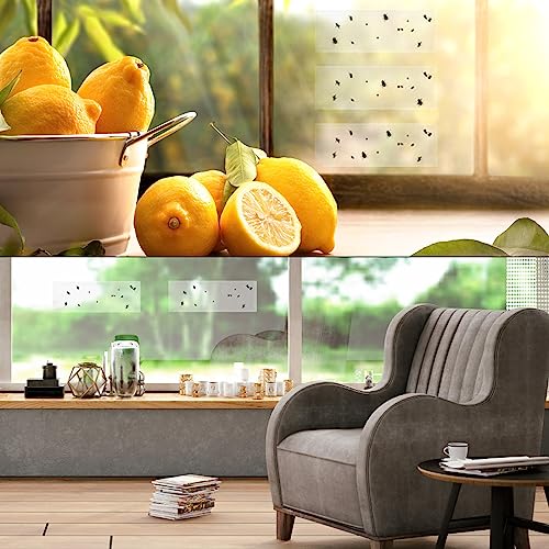 Faicuk 20-Pack Clear Window Fly Traps Sticky Fly Strip for Indoor Houseflies Nontoxic and Pesticide-Free