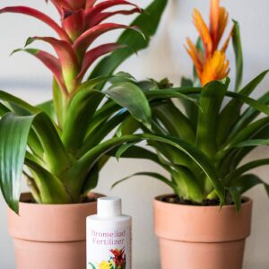 Bromeliad Fertilizer Liquid Plant Food for Bromeliads | Cryptanthus, Guzmania, Neoregelia Aechmea and Tillandsia Air, Aquatic Arts