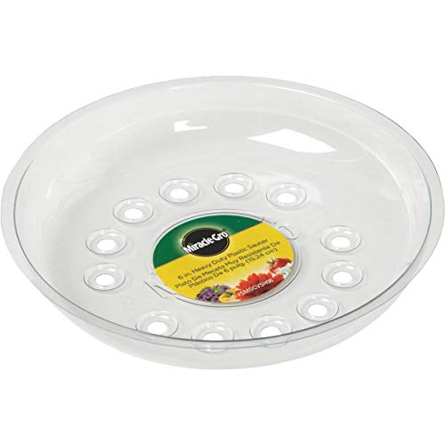 Miracle-Gro SMGCVSH06 6" Heavy Duty Plastic Saucer, Clear