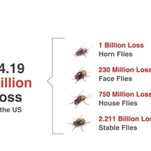 Champion USA JustiFLY Feedthrough Cattle Fly Control, 12 Pack | Non-Toxic Larvicide. Controls All Four Fly Species That Affect Cattle. Over 50 Million Head Treated