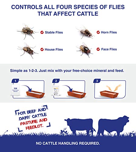 Champion USA JustiFLY Feedthrough Cattle Fly Control, 12 Pack | Non-Toxic Larvicide. Controls All Four Fly Species That Affect Cattle. Over 50 Million Head Treated