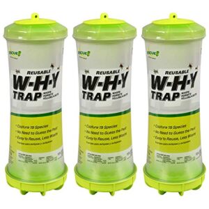 rescue! why trap for wasps, hornets, & yellowjackets – hanging outdoor trap - 3 traps