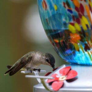 Muse Garden Hummingbird Feeders for Outdoors Hanging, Blown Glass Hummingbird Feeder, for Garden Backyard Decor, Unique Gifts Idea for Mom Older Women, 27OZ, Blue Fireworks