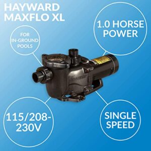 Hayward W3SP2307X10 MaxFlo XL Pool Pump, 1 HP