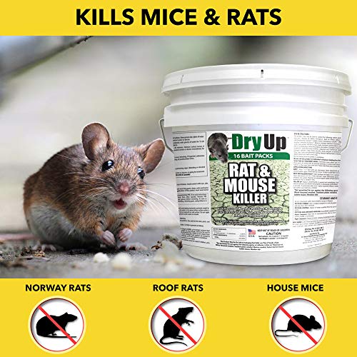 Dry-Up Mouse and Rat Killer, 4oz Mini Bait Bags (16-Pack)