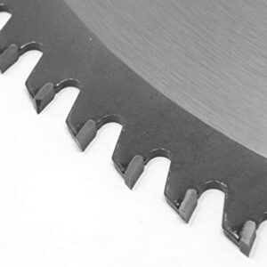 WEN BL1232-2 12-Inch 32-Tooth and 80-Tooth Carbide-Tipped Professional Woodworking Saw Blade Set, Two Pack