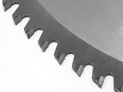 WEN BL1232-2 12-Inch 32-Tooth and 80-Tooth Carbide-Tipped Professional Woodworking Saw Blade Set, Two Pack